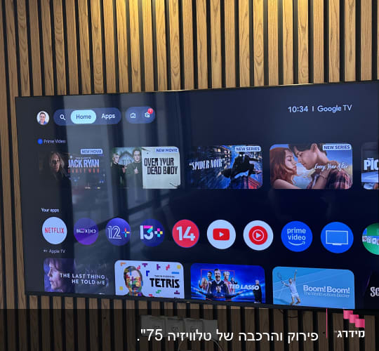 טלוויזיה חכמה על קיר עם עץ דקורטיבי
